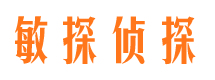 翠云市侦探调查公司